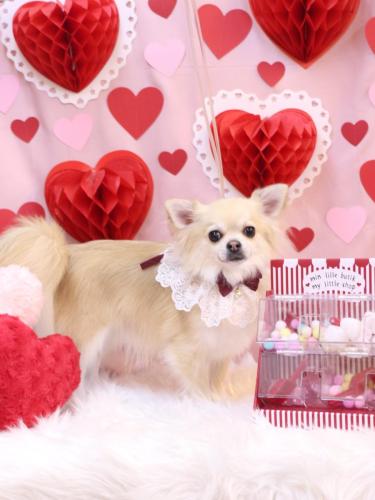 20240218とわくん